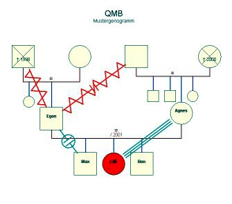 Qualitätssicherung durch methodische Betreuungsplanung (QMB)